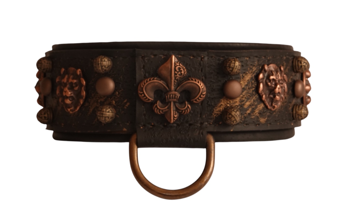leather dog collar medieval