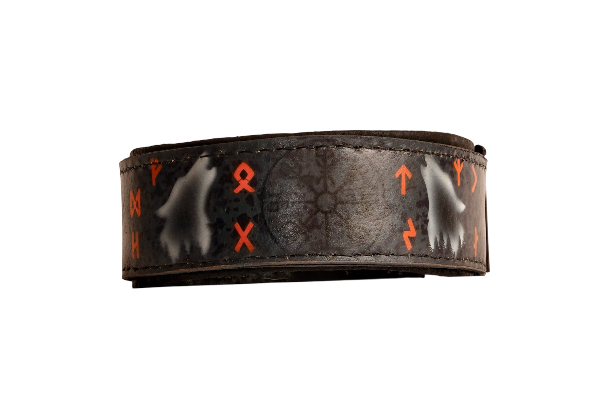 vegvisir dog collar