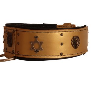 star of david leather dog collar