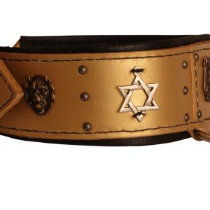 star of david dog collar