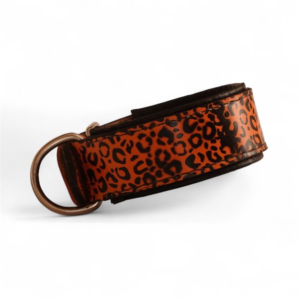 leopard dog collar