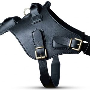 black leather dog harness