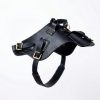 black leather dog harness