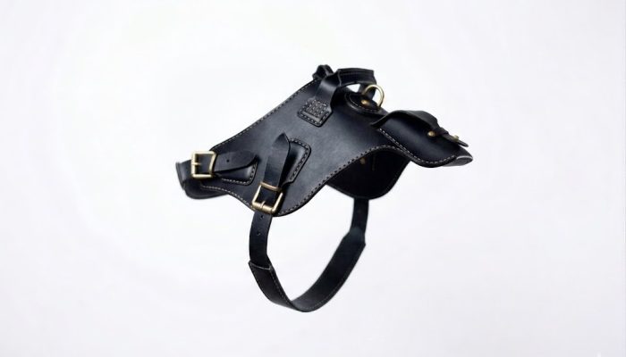black leather dog harness