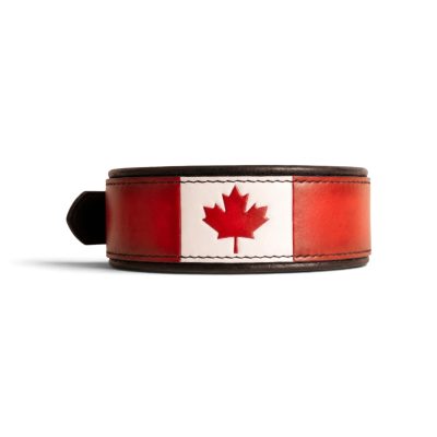 canada flag dog collar