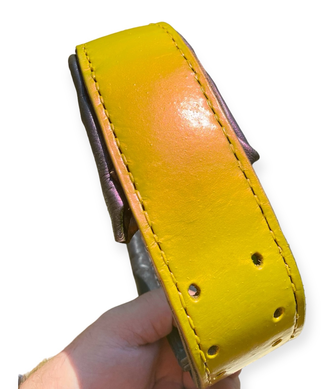 Handmade Leather Dog Collar Chameleon Effect: Yellow to Violet Color Shift