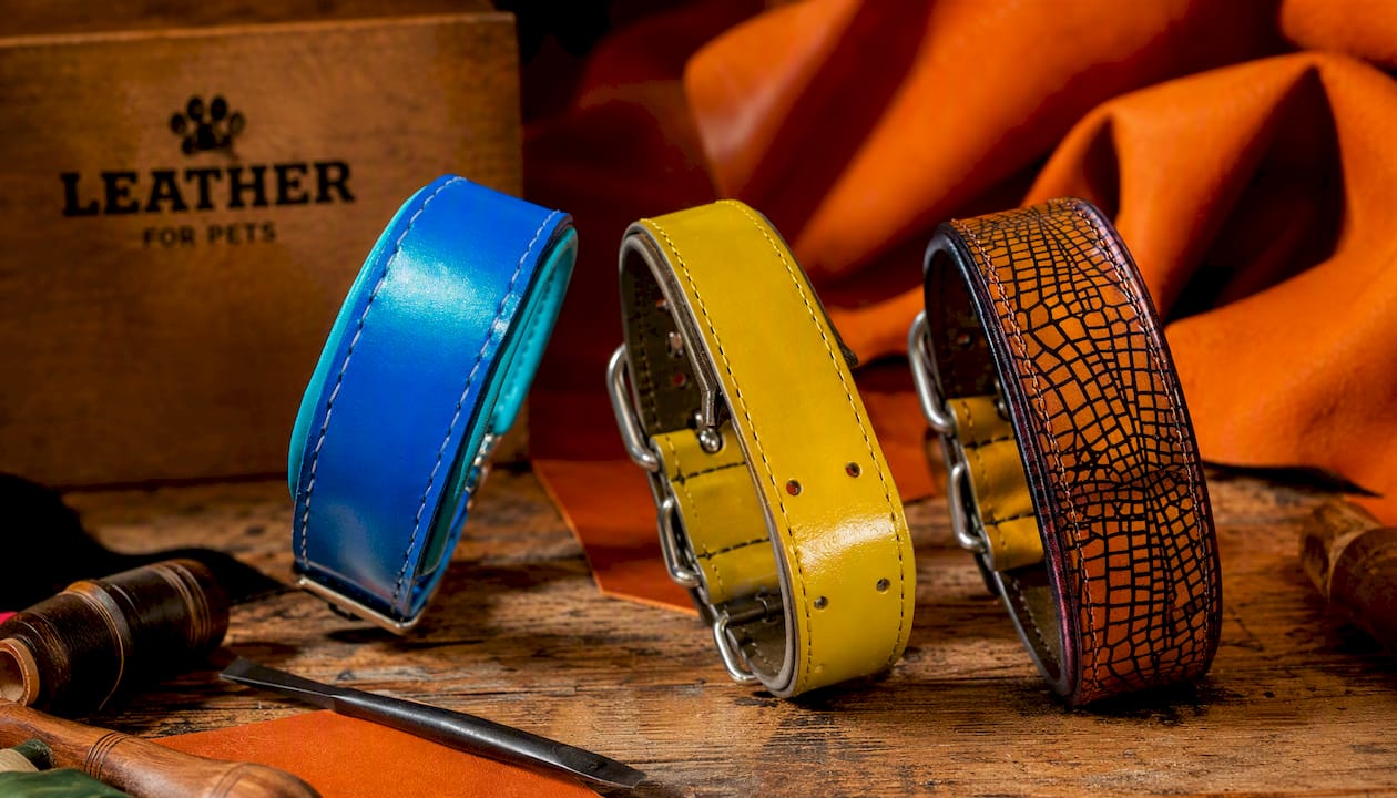 Leather Dog Collar with Chameleon Effect – Blue to Green Color Shift